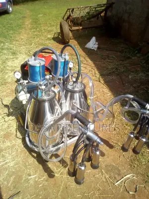 Double Cow Milking Aico
