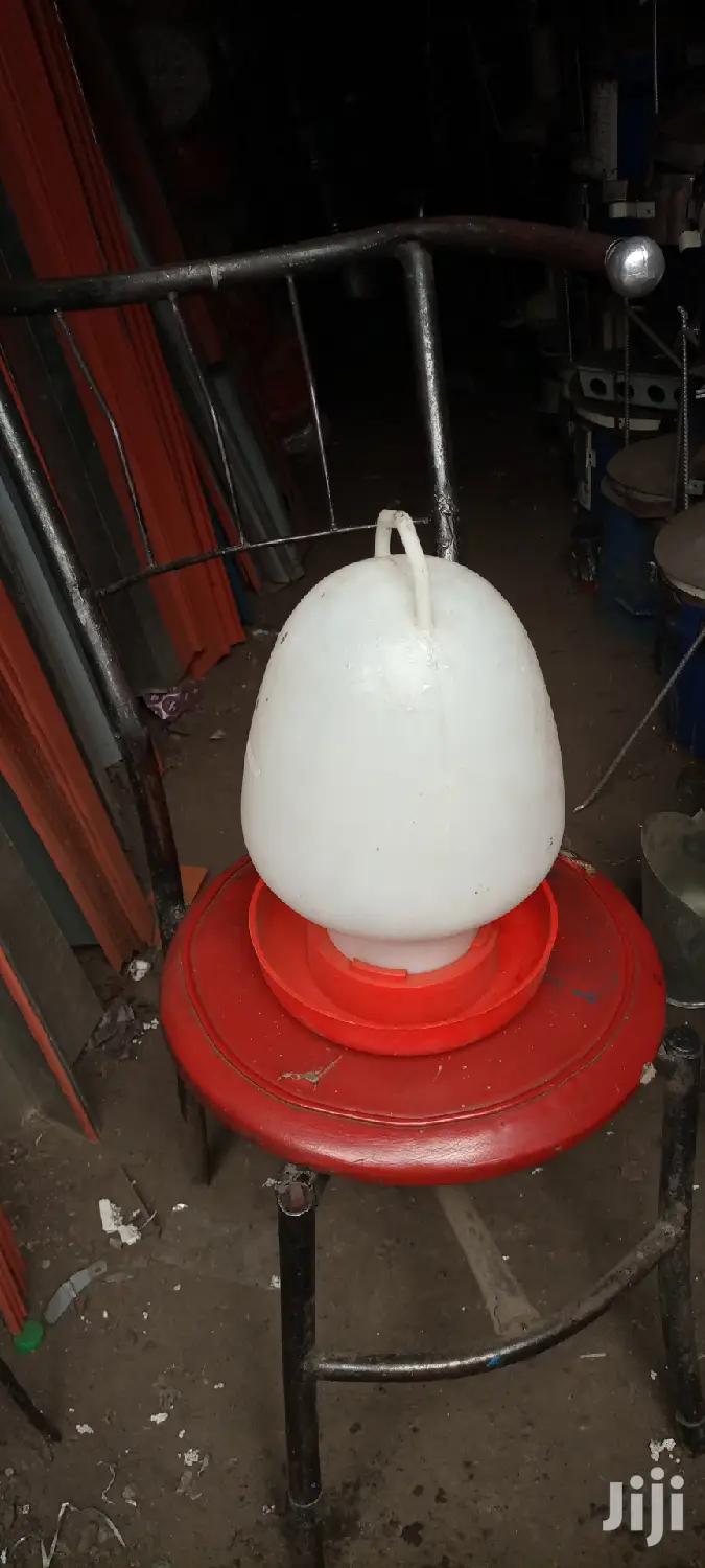 Drinker And Chicken Feeders
