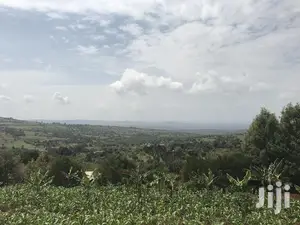1acre Mua Hills