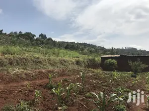 1acre Mua Hills