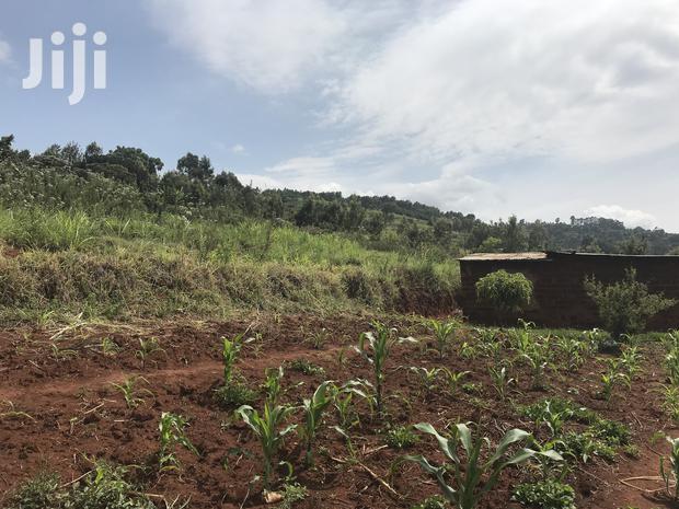 1acre Mua Hills - thumbnail 3