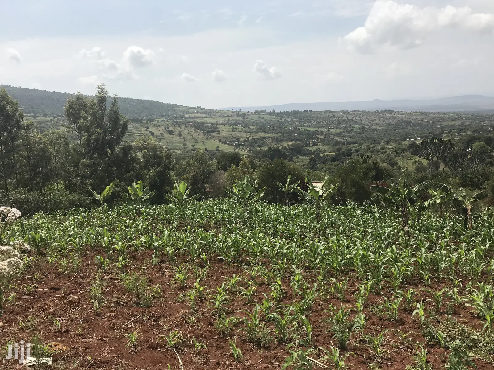 1acre Mua Hills