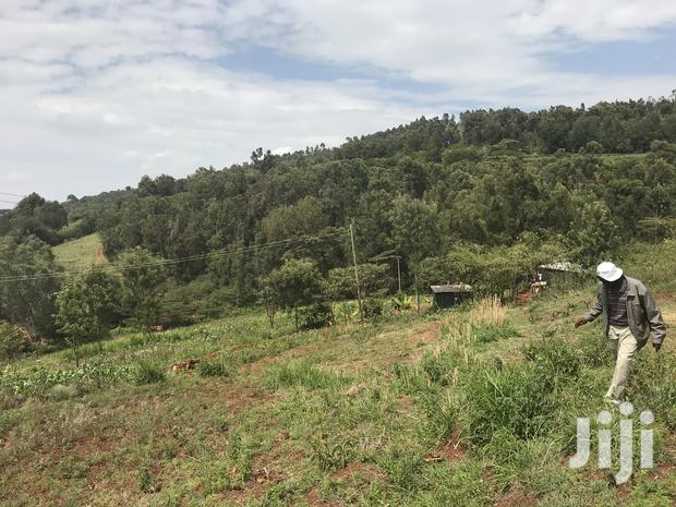 1acre Mua Hills - thumbnail 7