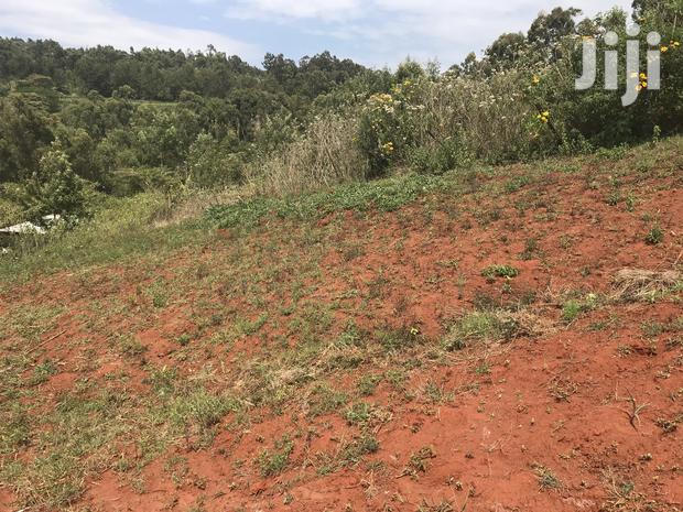 1acre Mua Hills - thumbnail 8