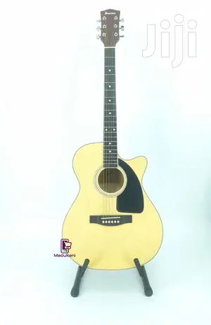 Generic Ibanez Acoustic 39 Inch Full Size Guitar
