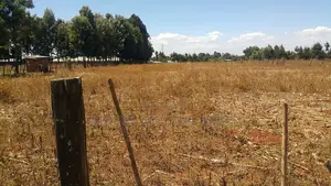 3 Plots 3/4 With Title Kiplombe Good for Residential