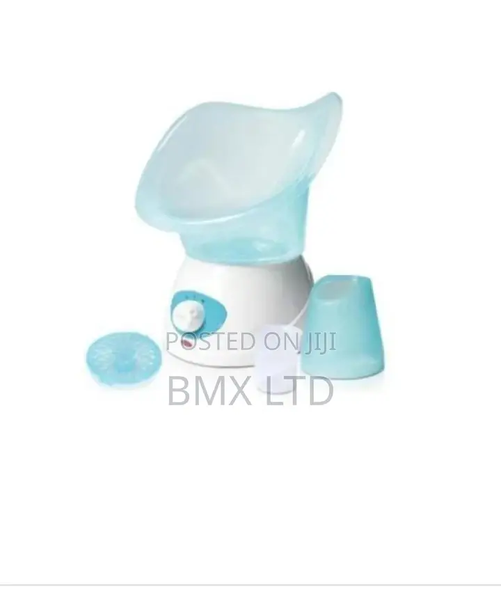 Nano Facial Steamer.