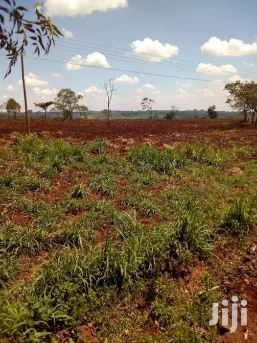 30 Acres of Land for Sale in Kiambu Along Kenyatta Rd Ksh 15m Pa. - thumbnail 2