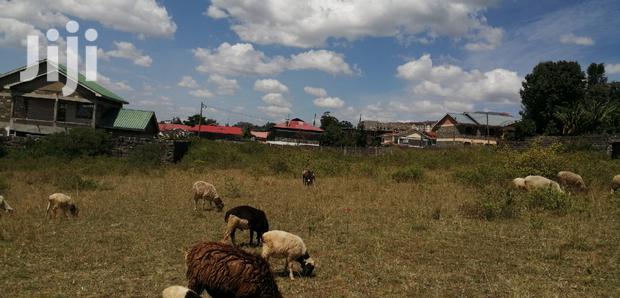1/4 Acre Plot for Sale in Naka.