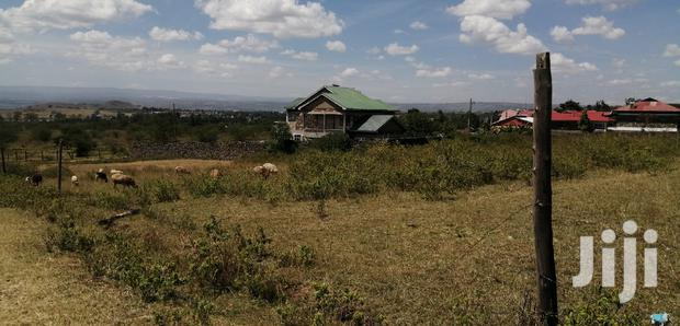 1/4 Acre Plot for Sale in Naka. - thumbnail 3
