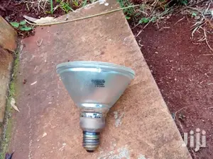 Par 38 Bulbs