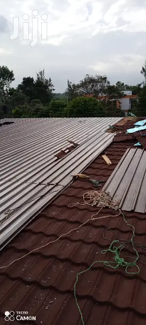 Roof Works, Repairs And Ceiling