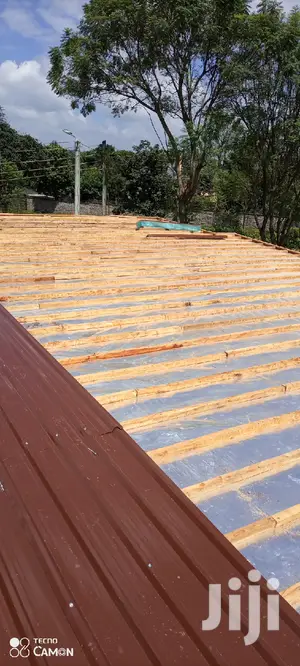 Roof Works, Repairs And Ceiling