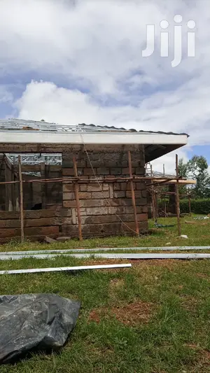 Roof Works, Repairs And Ceiling