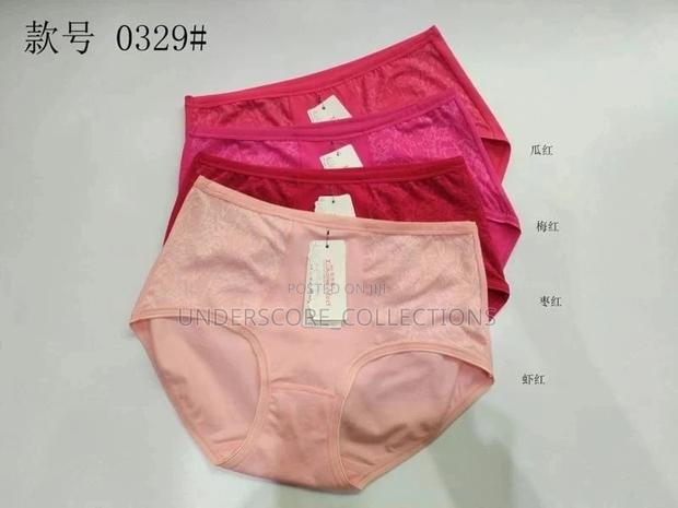 Ladies Inner Wear or Panties - main view
