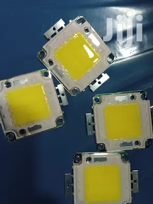 30 Watts Floodlight Bulbs
