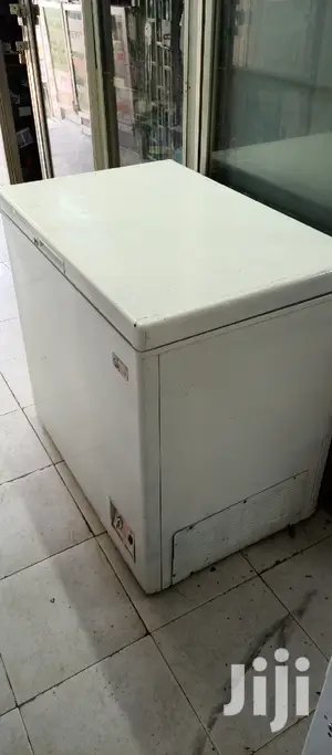 Deep Freezer 230L