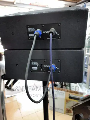 Evans Active Line Array