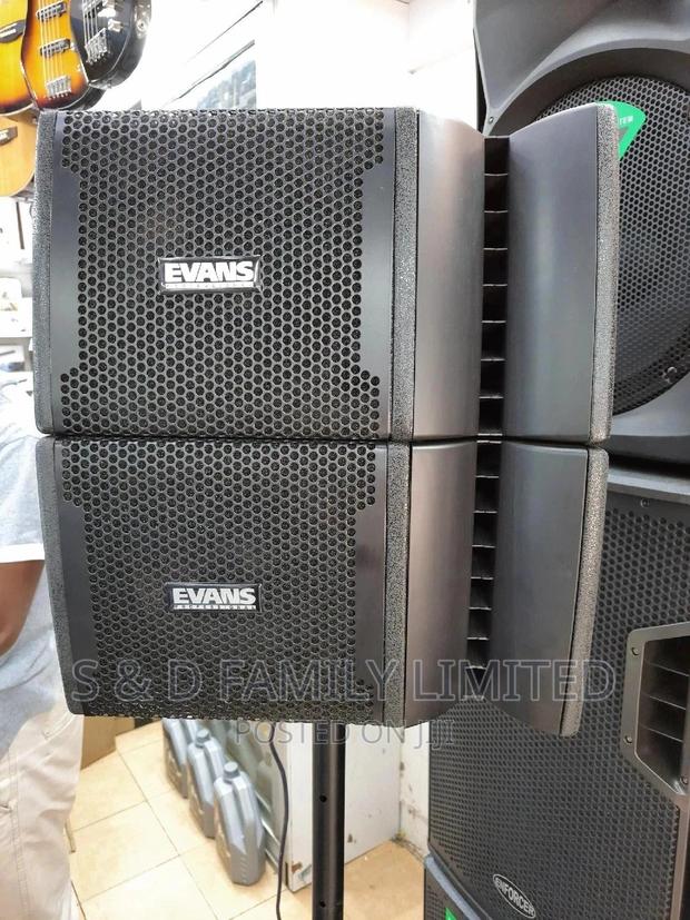 Evans Active Line Array - thumbnail 6
