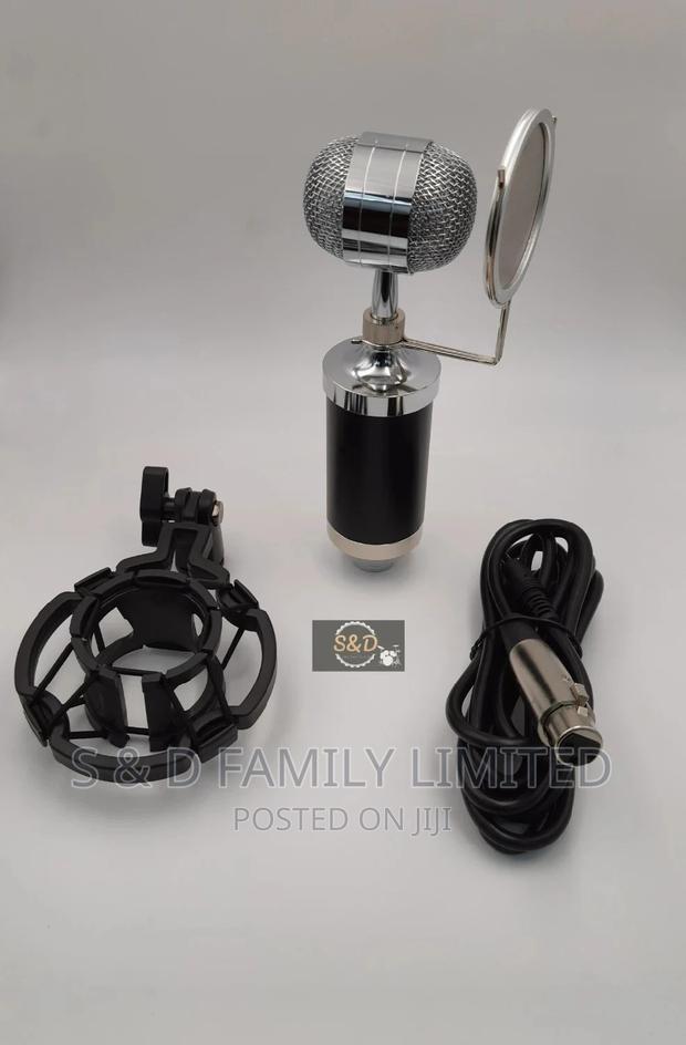 Bluespark Condenser Microphone - main view