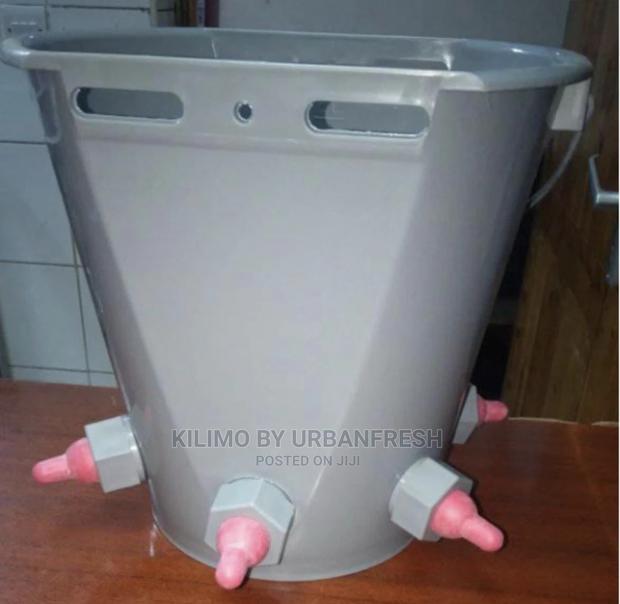 Milk Feeding Bucket for Animal Youngs