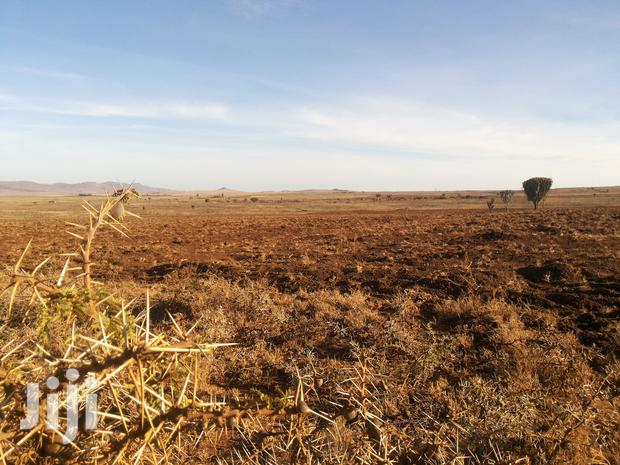 6 Acre Gem in Timau - thumbnail 3