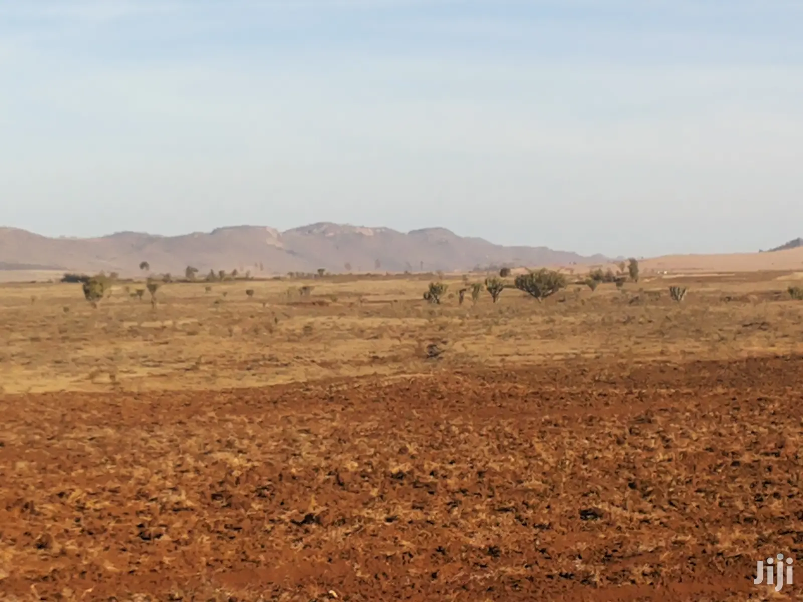 6 Acre Gem in Timau