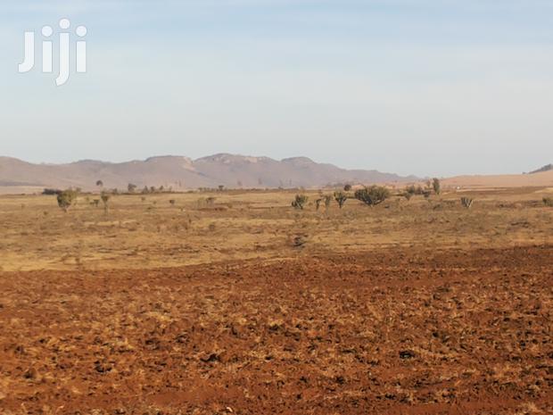 6 Acre Gem in Timau - thumbnail 4