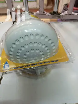Shower Head Lorezette