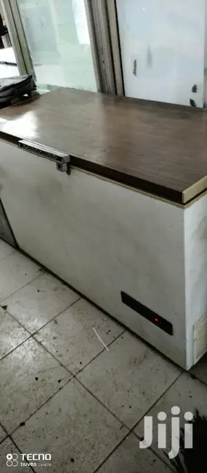 500 L Freezer