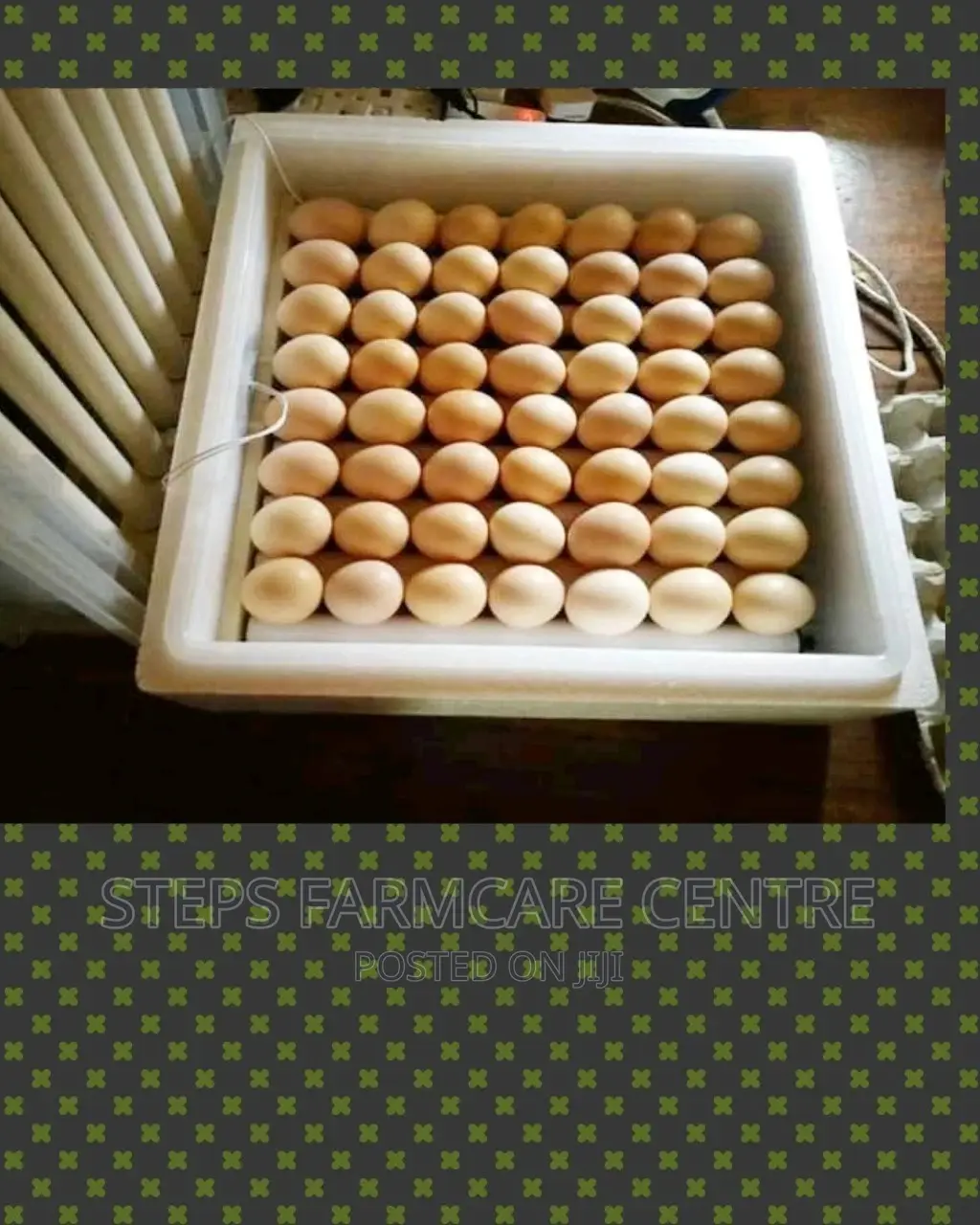 Egg Incubator -56 Eggs
