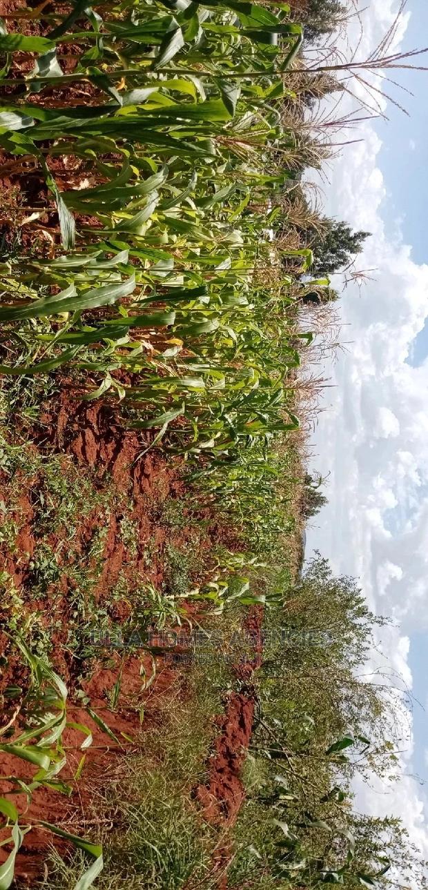 3 Acre Land, 800m From Mua Sonko Road - thumbnail 5