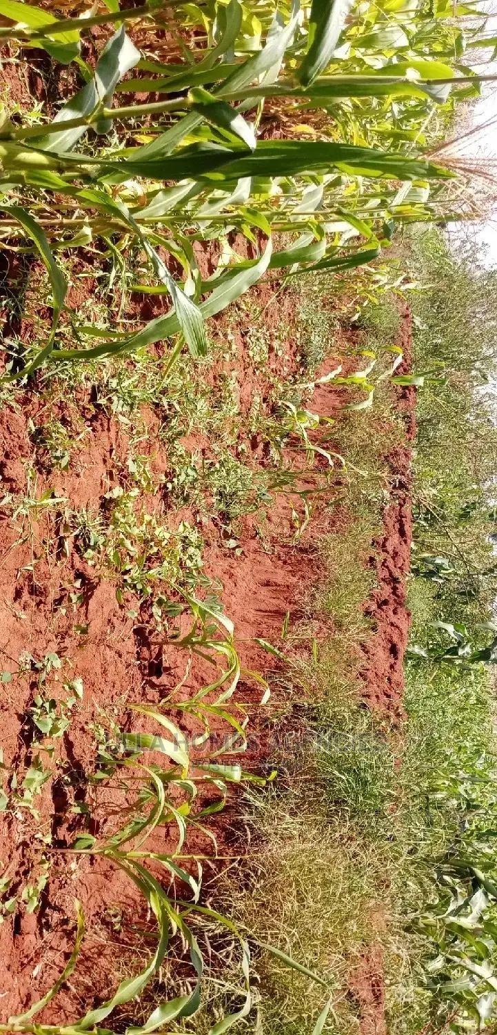 3 Acre Land, 800m From Mua Sonko Road