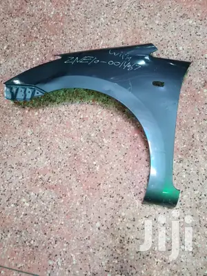 Toyota Wish Old Model Left Fenders