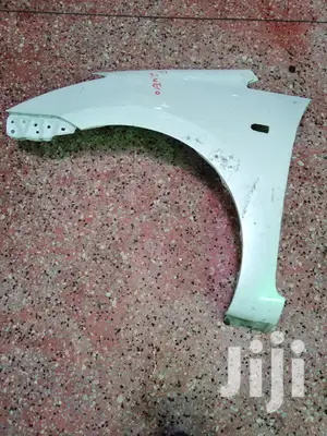 Toyota Wish Fenders/Wings