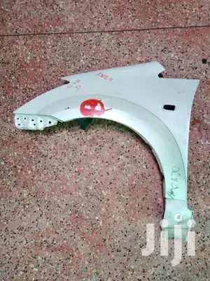 Toyota Wish Fenders/Wings