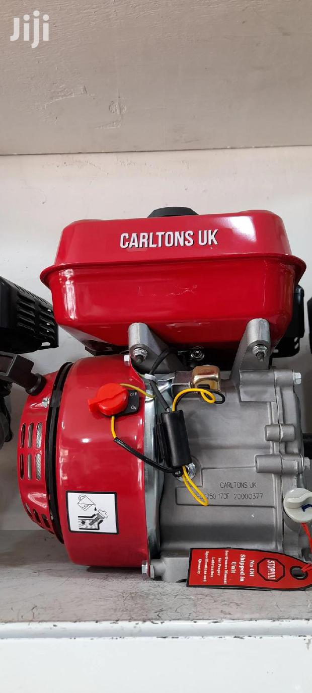 Carltons Uk Petrol Engine Machine 7hp - thumbnail 2