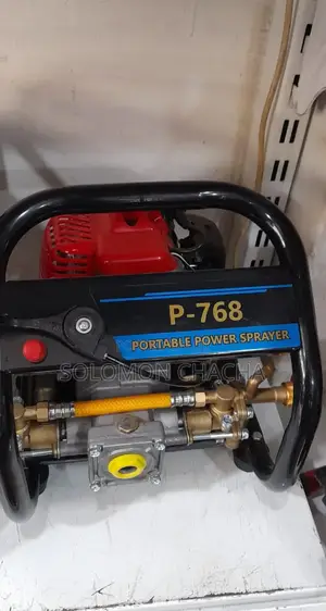Portable Power Sprayer P-768