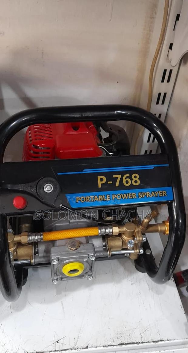 Portable Power Sprayer P-768