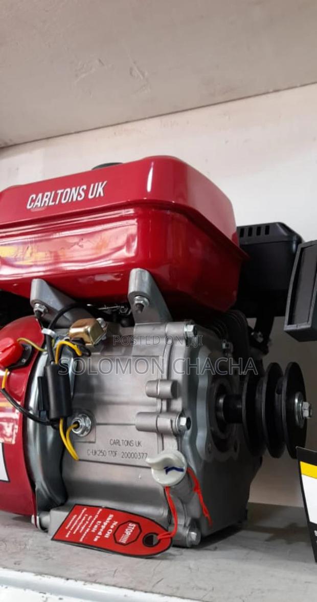 Carltons Uk Petrol Engine Machine 7hp - thumbnail 2