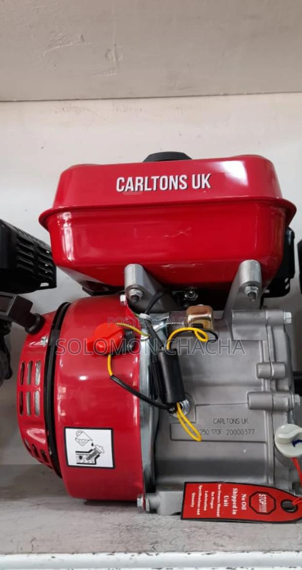 Carltons Uk Petrol Engine Machine 7hp - main view