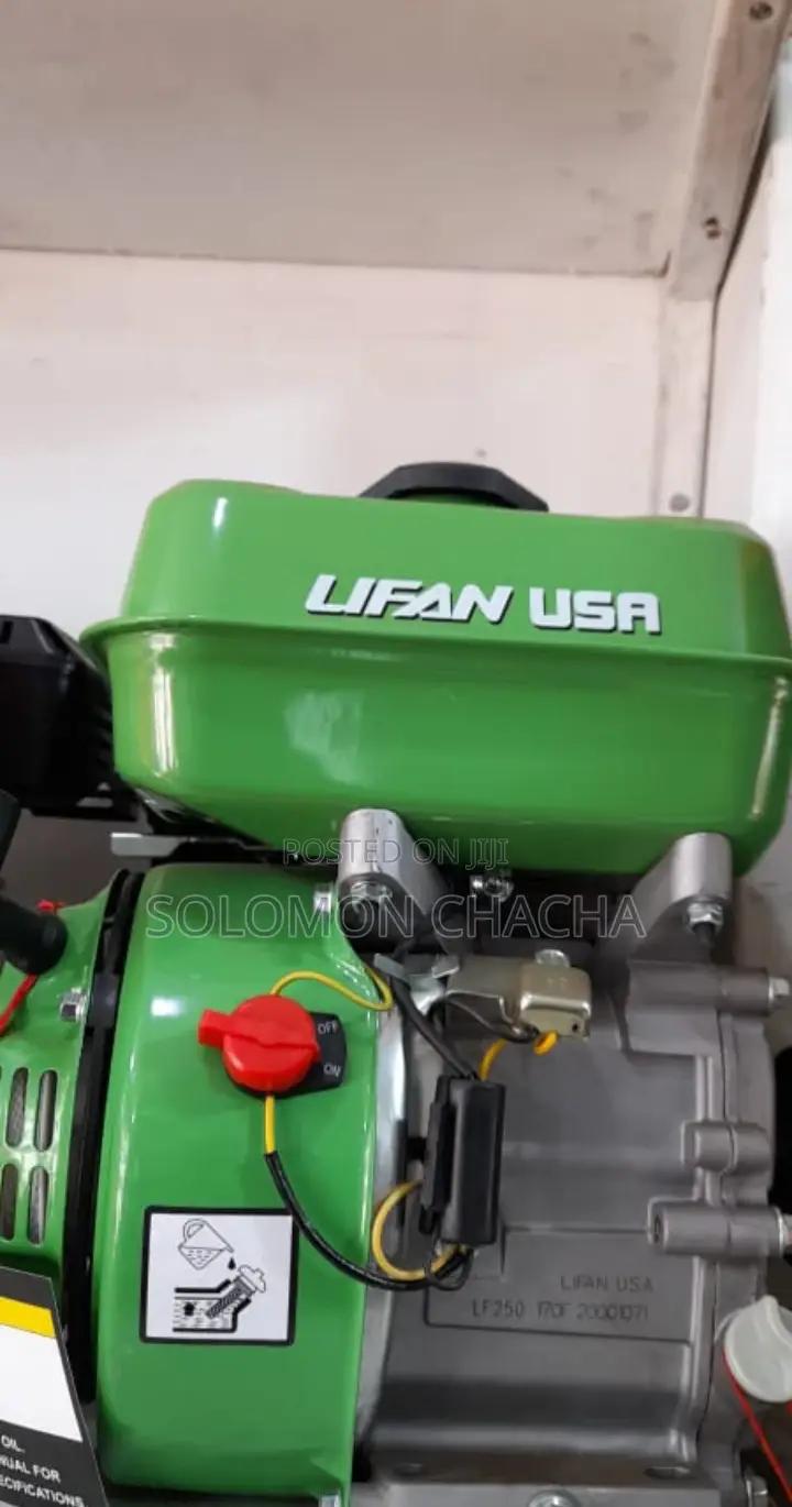 Lifan Usa Petrol Engine Machine 5hp