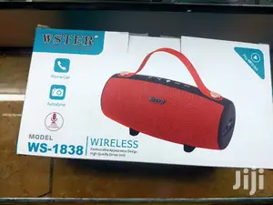 Wireless Speaker WS-1838