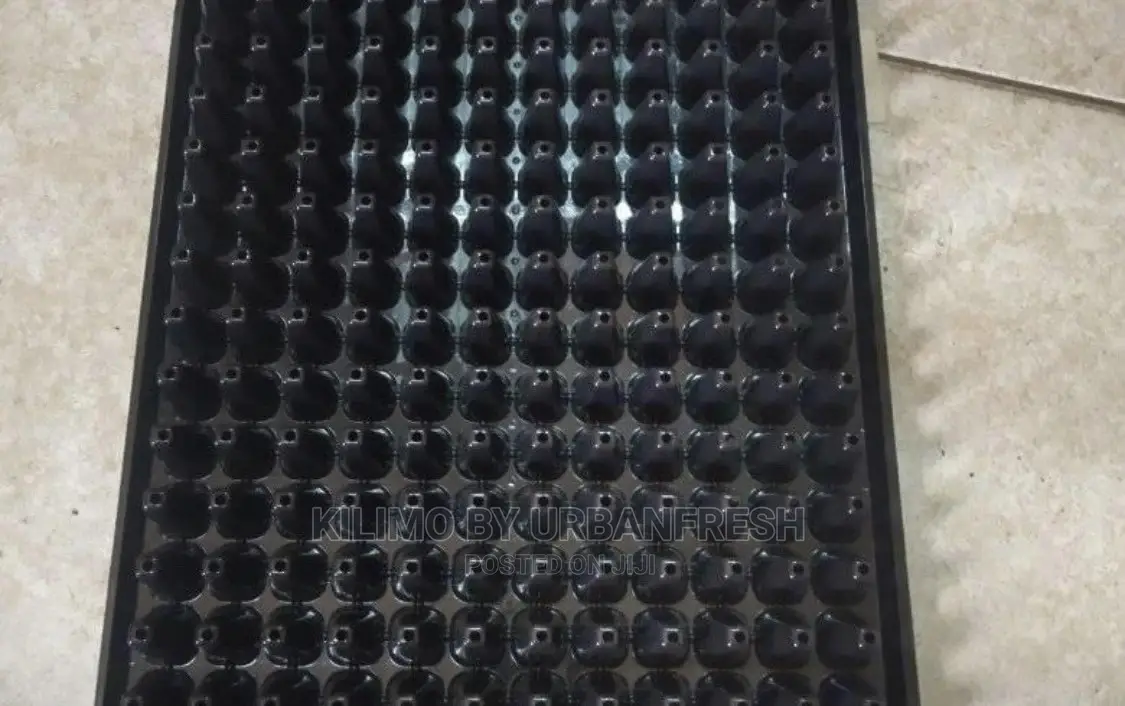 Seedlings Tray 50/72/128/200/288 Holes