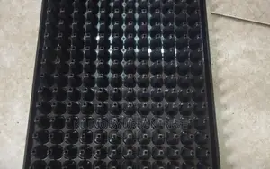 Seedlings Tray 50/72/128/200/288 Holes