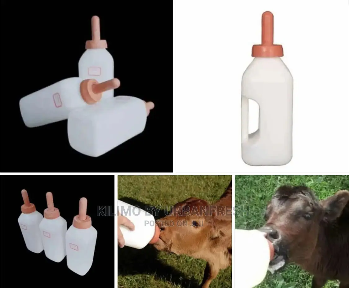 Milk Drinking Bottle For Calves