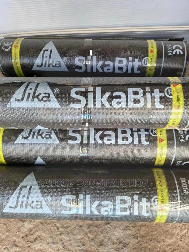App Bitumen Membrane for Flatroofs - thumbnail 2
