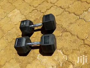 12.5kg Dumbbells Wholesale Hexagon Rubber Imported