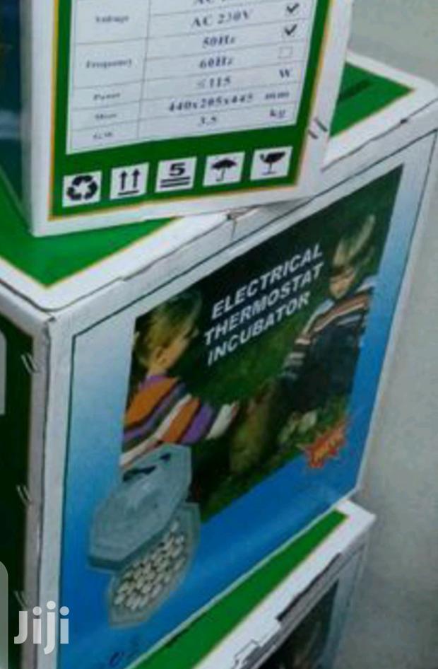 Selected 60 Egg Incubator