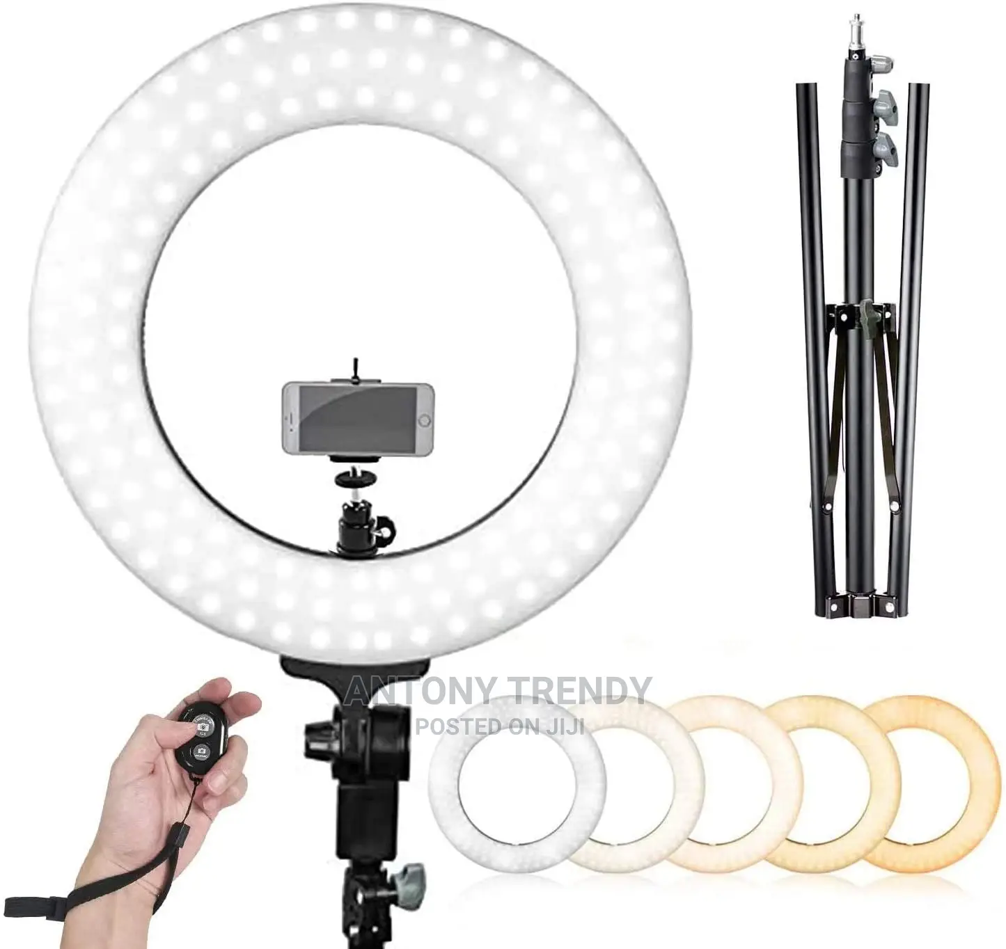 14 Inch Tiktok Youtb Led Selfie Ring Light With Tripod Stand